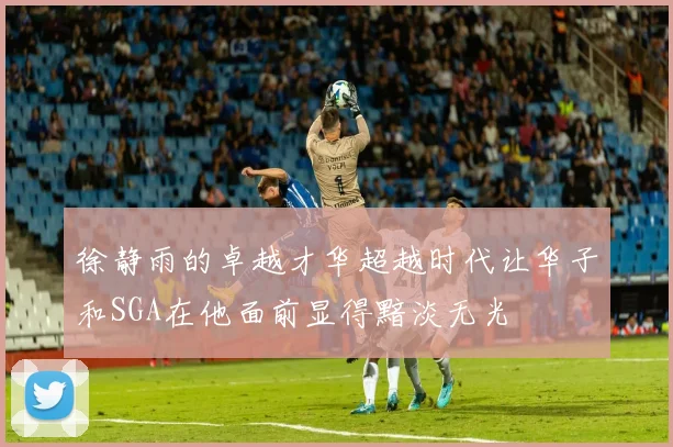 徐静雨的卓越才华超越时代让华子和SGA在他面前显得黯淡无光